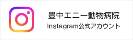 豊中エニー動物病院instagram公式アカウント