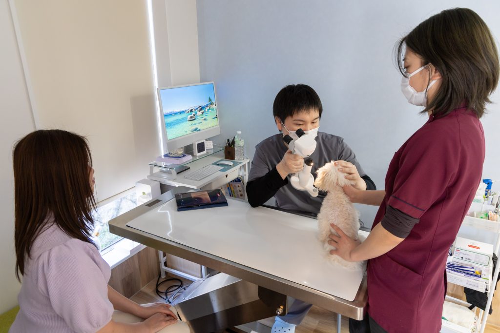 犬を医療機器で診察する院長