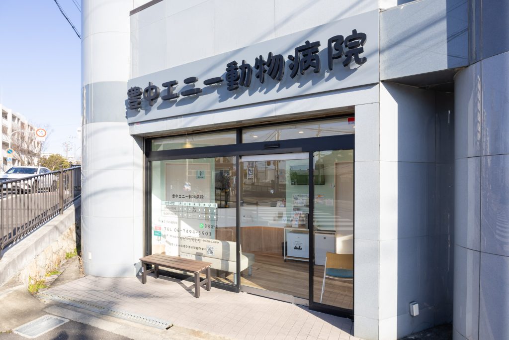 豊中エニー動物病院　エントランス