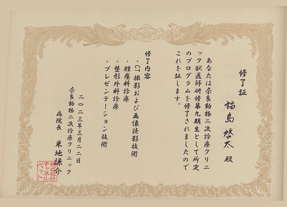 奈良動物二次診療クリニック 研修 修了