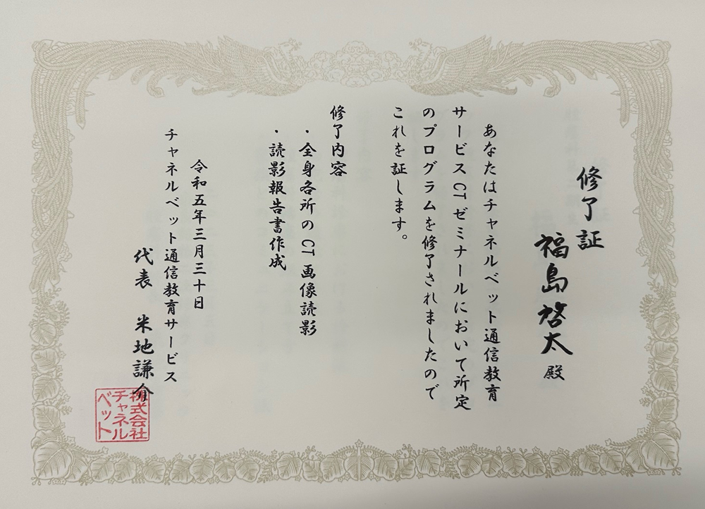 チャネルベット CT画像診断サービス <br class=