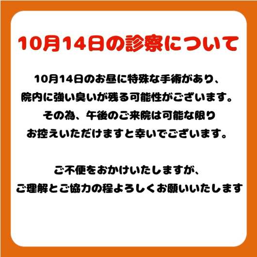 10月14日の診察について
