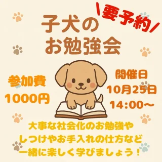 子犬のお勉強会を開催